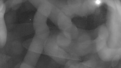 Areál koupaliště Holešov