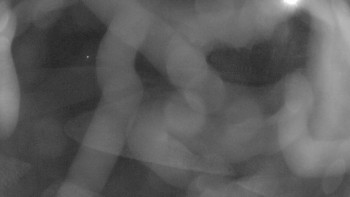 Snímek 6.11.2025 v 18:45