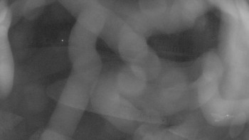 Snímek 6.11.2025 v 20:45