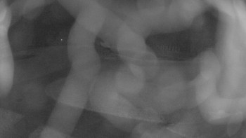 Snímek 7.11.2025 v 03:00