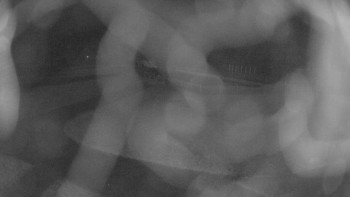 Snímek 7.11.2025 v 05:15