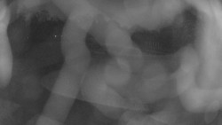 Areál koupaliště Holešov