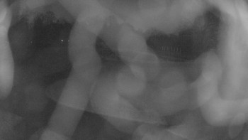 Snímek 7.11.2025 v 17:15