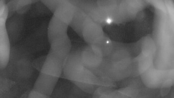 Snímek 7.11.2025 v 18:00