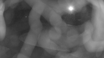 Snímek 7.11.2025 v 18:30