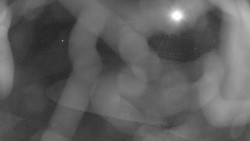 Areál koupaliště Holešov