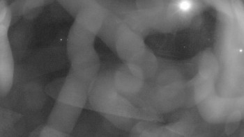 Snímek 7.11.2025 v 19:15