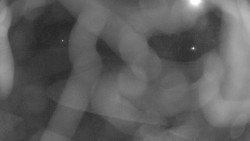 Areál koupaliště Holešov