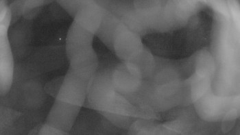 Snímek 7.11.2025 v 20:00