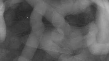 Snímek 7.11.2025 v 21:00