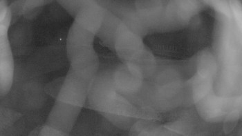 Snímek 8.11.2025 v 02:45