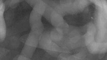 Snímek 8.11.2025 v 22:15