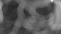 Areál koupaliště Holešov