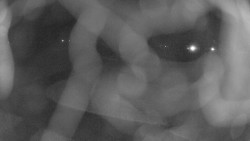 Areál koupaliště Holešov