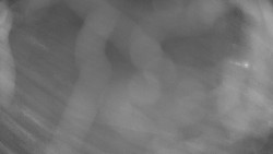 Areál koupaliště Holešov