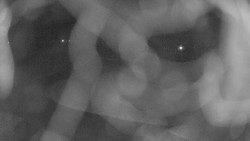 Areál koupaliště Holešov