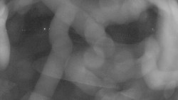 Areál koupaliště Holešov