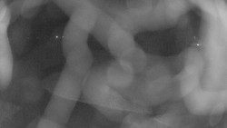 Areál koupaliště Holešov