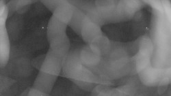 Areál koupaliště Holešov