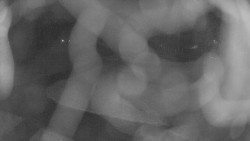 Areál koupaliště Holešov