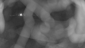 Snímek 16.11.2025 v 20:45