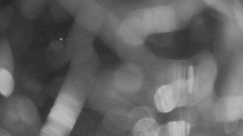 Snímek 17.11.2025 v 17:00