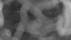 Areál koupaliště Holešov