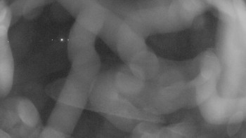 Snímek 18.11.2025 v 03:45