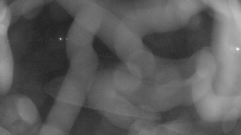 Snímek 19.11.2025 v 03:30