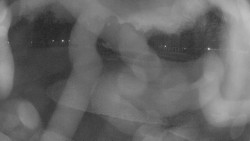 Areál koupaliště Holešov