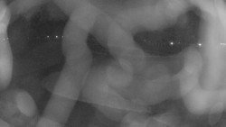 Areál koupaliště Holešov