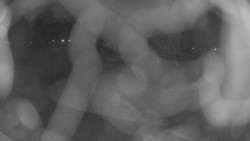 Areál koupaliště Holešov