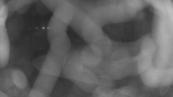 Areál koupaliště Holešov