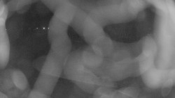 Areál koupaliště Holešov