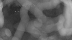 Areál koupaliště Holešov