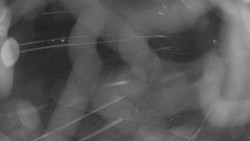 Areál koupaliště Holešov