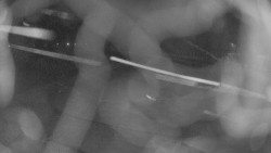 Areál koupaliště Holešov