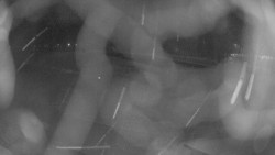 Areál koupaliště Holešov