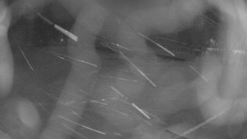 Snímek 23.11.2025 v 01:00