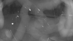 Areál koupaliště Holešov