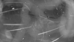 Areál koupaliště Holešov