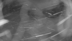 Areál koupaliště Holešov