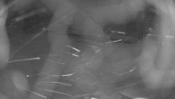 Areál koupaliště Holešov