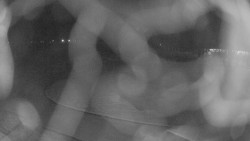 Areál koupaliště Holešov