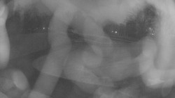 Areál koupaliště Holešov