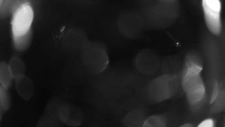 Areál koupaliště Holešov