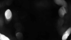 Areál koupaliště Holešov