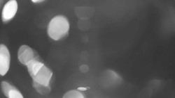 Areál koupaliště Holešov