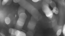 Areál koupaliště Holešov