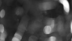 Areál koupaliště Holešov